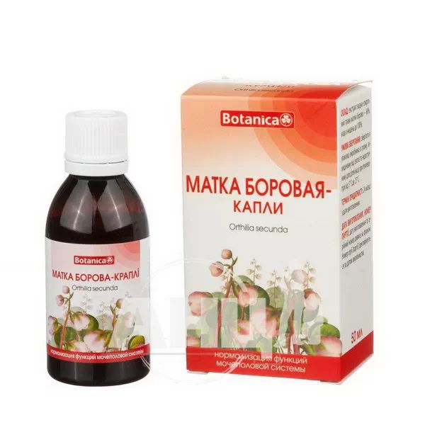 Матка Борова краплі 50 мл