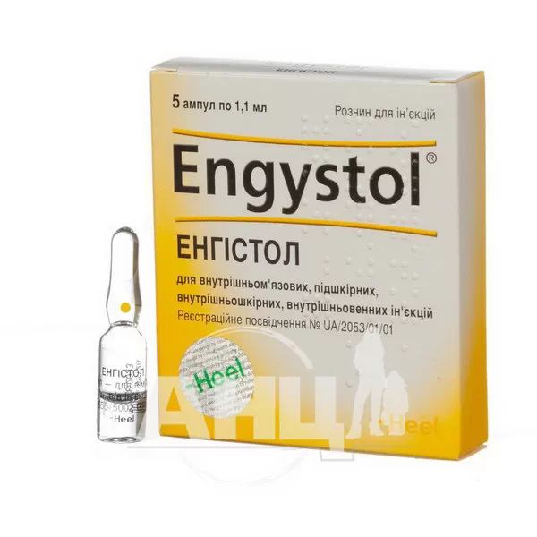 Енгістол розчин для ін'єкцій ампула 1,1 мл №5