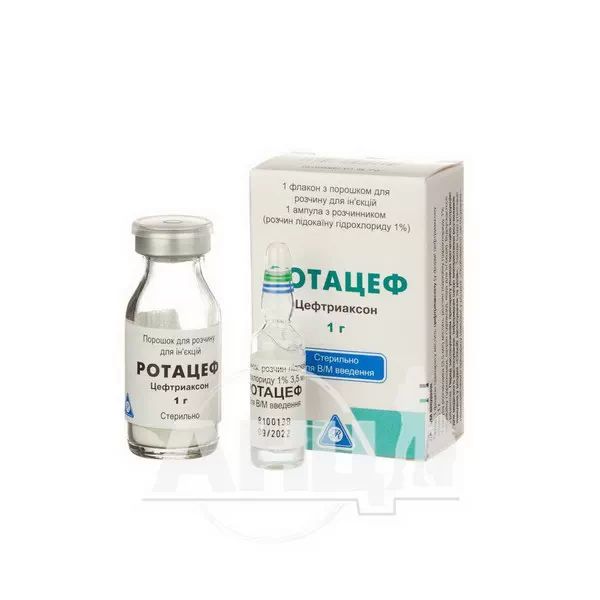 Ротацеф порошок для розчину для ін'єкцій 1 г флакон з 1% лідокаїном в ампулах 3,5 мл №1