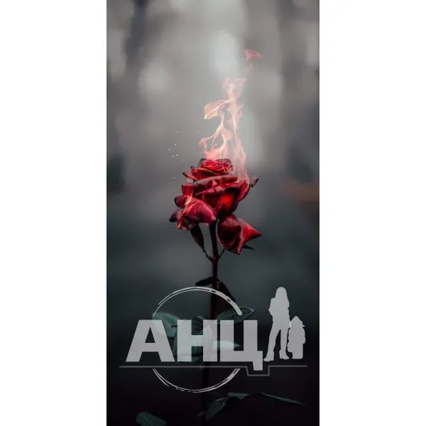 3-дінір капсули 300 мг блістер №10