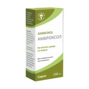 Амброксол сироп 15 мг/5 мл банка 100 мл