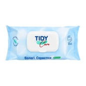 Влажные салфетки Tidy Care Детские с клапаном №100
