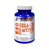 ОМЕГА-3 АКТИВ POWERFULL КАПС. 1000МГ ПНЖК №100 5821