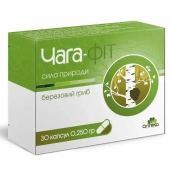 ЧАГА-ФИТ КАПС №30