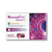 НовосіФол саше №20