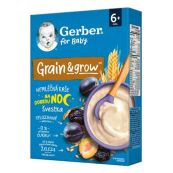 Каша сухая безмолочная Gerber Овсяно-пшеничная с черносливом с 6-ти месяцев 200 г
