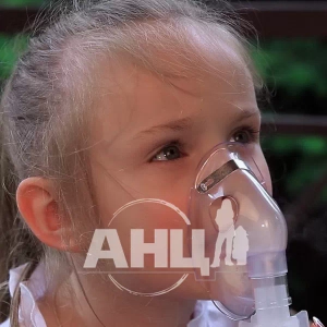 Ингалятор компрессорный Vega VN 420