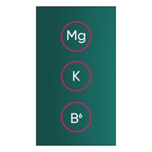МагнеСудомін саше №30