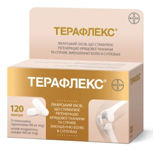 Терафлекс капсулы флакон №120