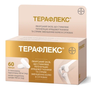 Терафлекс капсули флакон №60