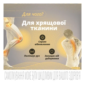 Терафлекс капсулы флакон №60