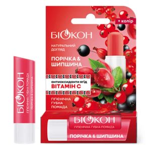 Бальзам для губ Биокон Смородина и Шиповник 4,6 г