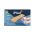 image-0
